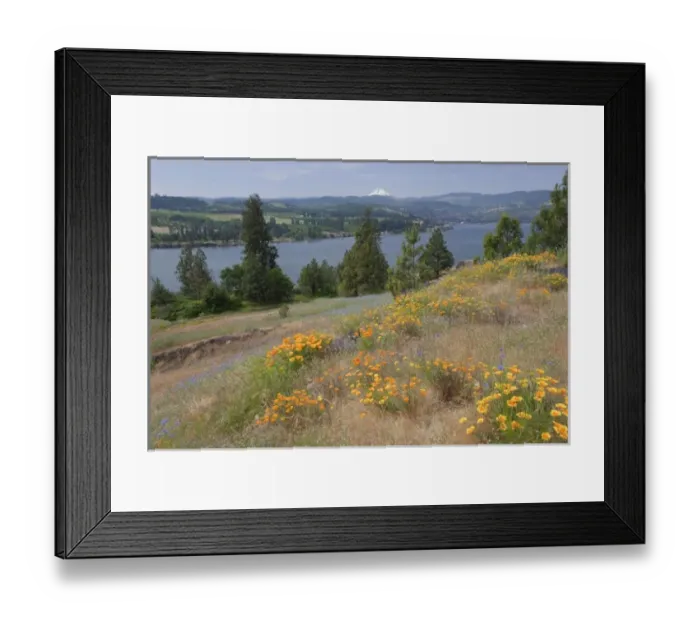 Framed Print : USA, North America, Washington