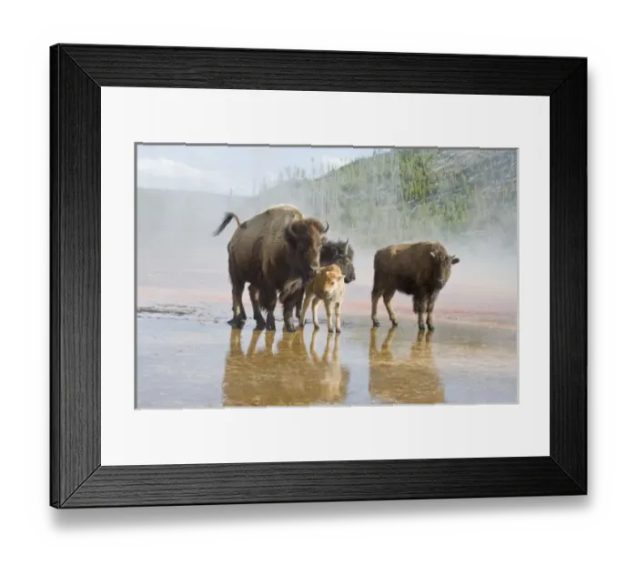 Framed Print : USA, North America, Wyoming Framed Print : USA, North America, Wyoming