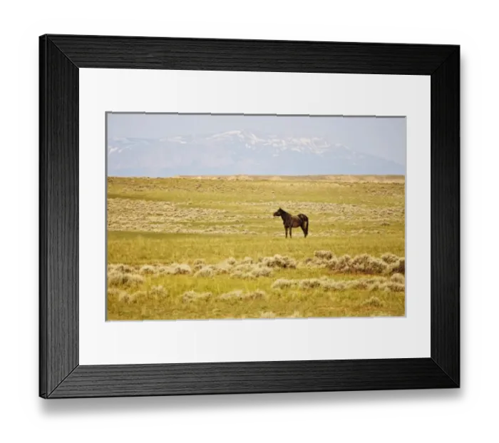 Framed Print : USA, North America, Wyoming Framed Print : USA, North America, Wyoming