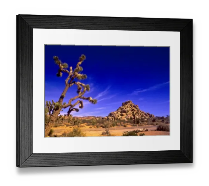 Framed Print : USA, California, Joshua Tree National Park Framed Print : USA, California, Joshua Tree National Park
