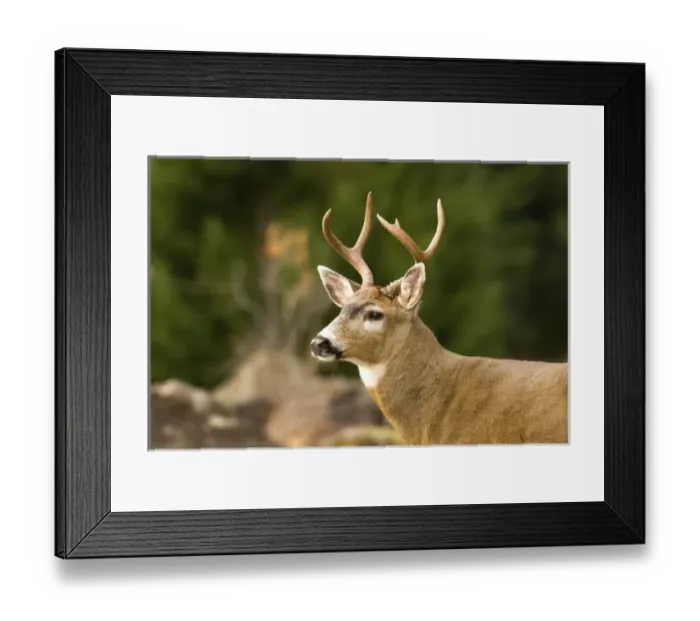 Framed Print : USA, North America, Washington Framed Print : USA, North America, Washington
