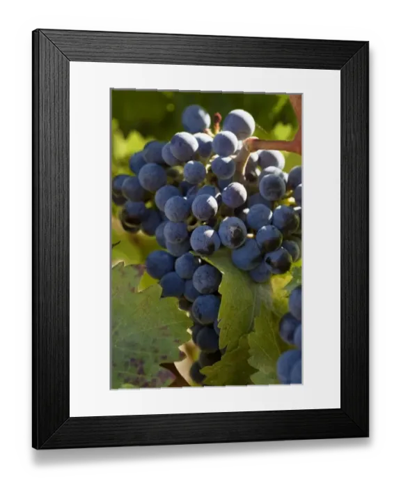 Framed Print : USA, North America, Washington Framed Print : USA, North America, Washington