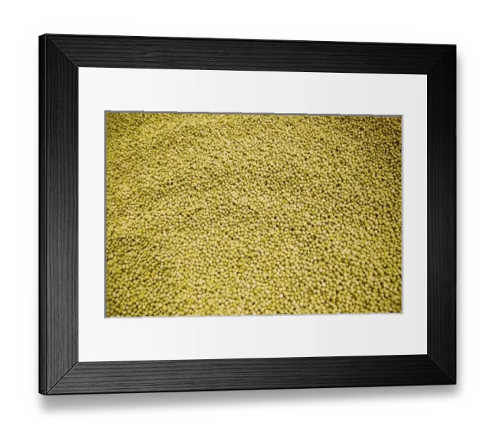 Framed Print : USA, North America, Washington Framed Print : USA, North America, Washington