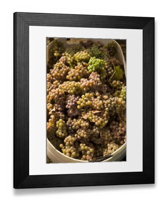 Framed Print : USA, North America, Washington Framed Print : USA, North America, Washington