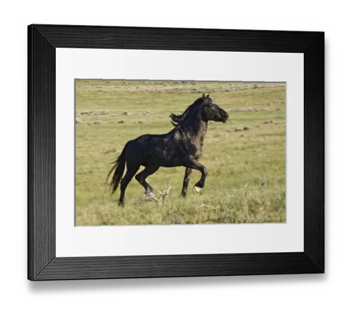 Framed Print : USA, North America, Wyoming Framed Print : USA, North America, Wyoming