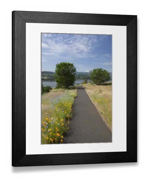 Framed Print : USA, North America, Washington Framed Print : USA, North America, Washington