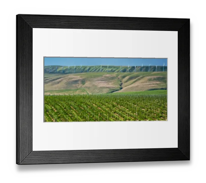 Framed Print : USA, North America, Washington