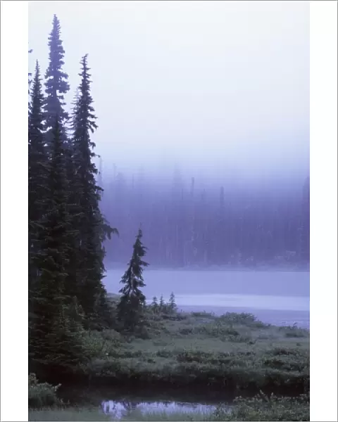 Foggy Morning at Reflection Lake, Washington