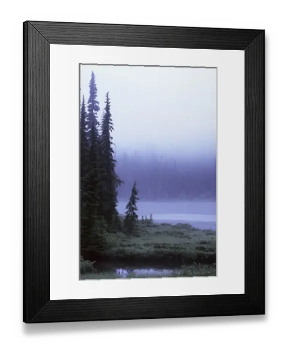 Framed Print : Foggy Morning at Reflection Lake, Washington Framed Print : Foggy Morning at Reflection Lake, Washington