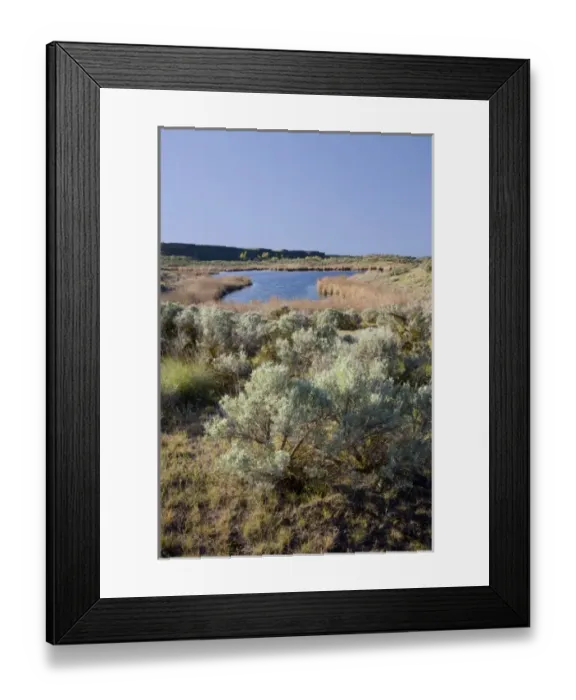 Framed Print : USA, North America, Washington Framed Print : USA, North America, Washington