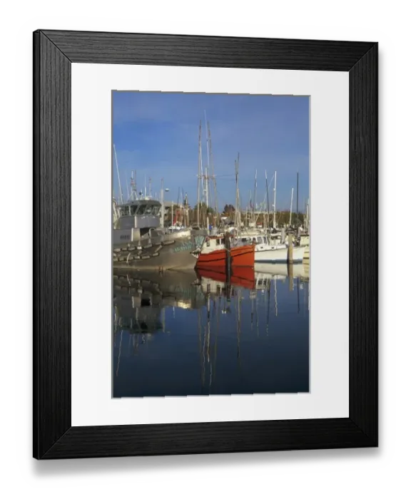 Framed Print : WA, Seattle, Fishing boats moored at Fishermens Terminal Framed Print : WA, Seattle, Fishing boats moored at Fishermens Terminal
