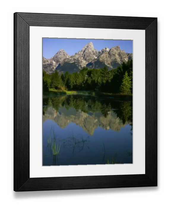Framed Print : USA, Wyoming, Grand Teton National Park. Teton Mountains reflected in beaver pond Framed Print : USA, Wyoming, Grand Teton National Park. Teton Mountains reflected in beaver pond