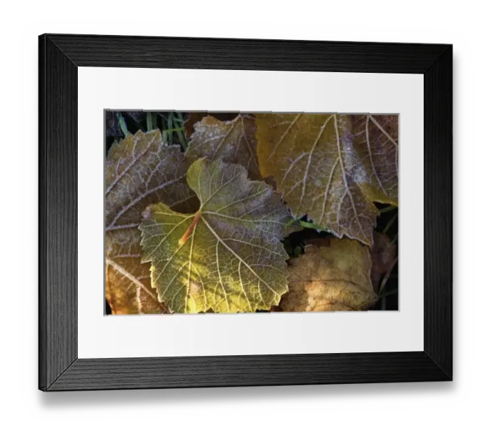 Framed Print : USA, North America, Washington Framed Print : USA, North America, Washington