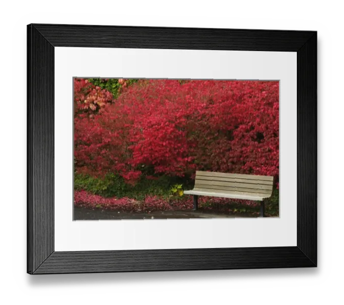 Framed Print : USA, Washington