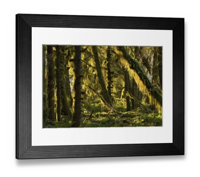 Framed Print : USA, North America, Washington
