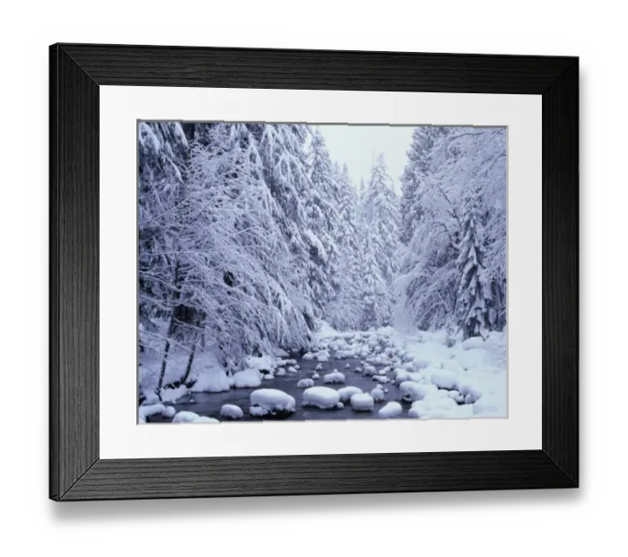 Framed Print : WA, Mount Baker-Snoqualmie National Forest, Cascade Mountains, Denny Creek with a Framed Print : WA, Mount Baker-Snoqualmie National Forest, Cascade Mountains, Denny Creek with a