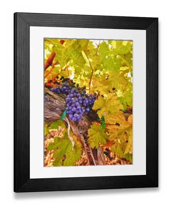 Framed Print : USA, North America, Washington Framed Print : USA, North America, Washington