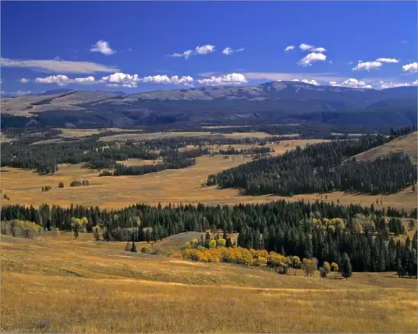 USA, Wyoming, Yellowstone NP. An overview of Yellowstone National Park, a World Heritage Site