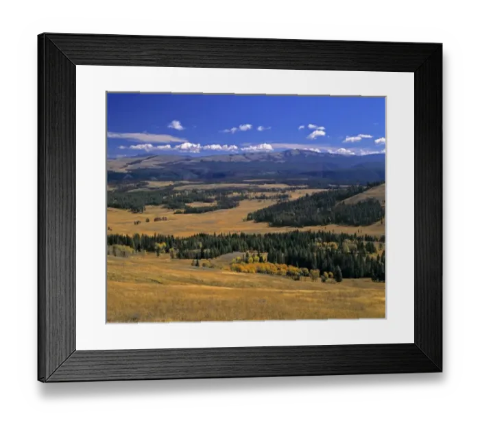 Framed Print : USA, Wyoming, Yellowstone NP. An overview of Yellowstone National Park, a World Heritage Site