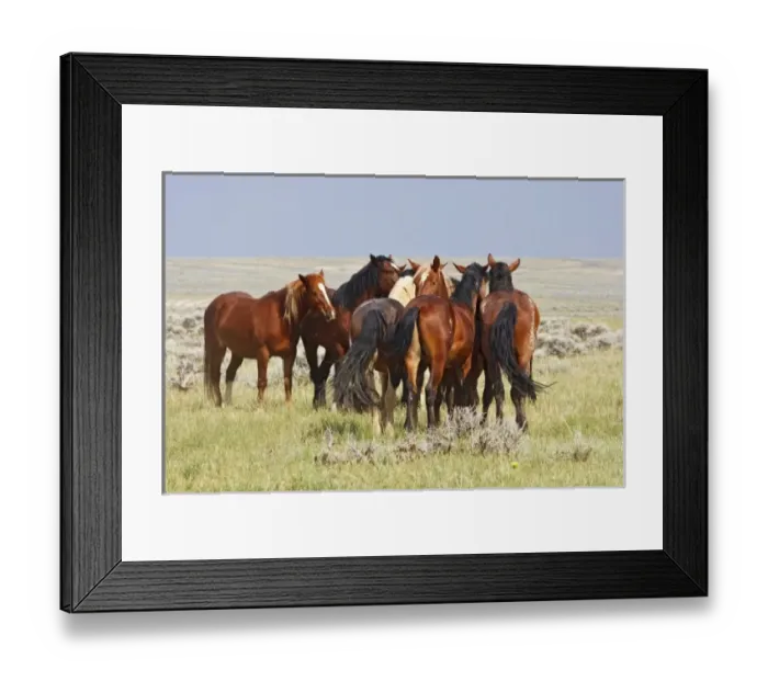 Framed Print : USA, North America, Wyoming Framed Print : USA, North America, Wyoming