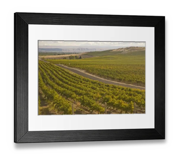 Framed Print : USA, North America, Washington Framed Print : USA, North America, Washington