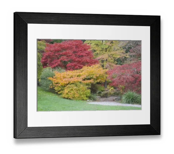 Framed Print : USA, North America, Washington Framed Print : USA, North America, Washington