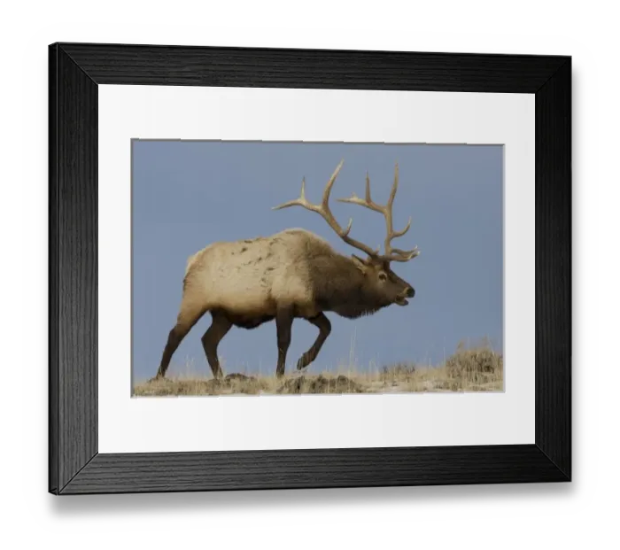 Framed Print : USA, North America, Wyoming Framed Print : USA, North America, Wyoming