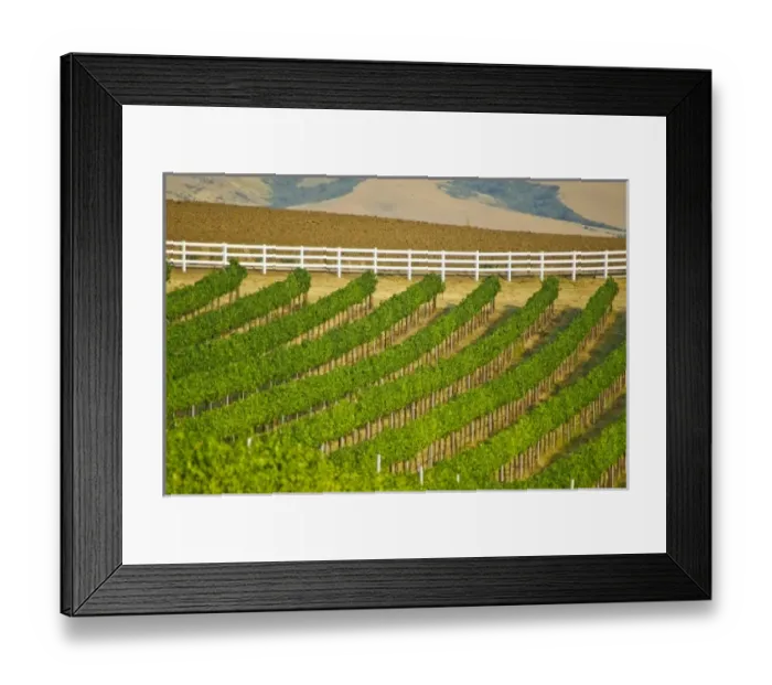 Framed Print : USA, North America, Washington Framed Print : USA, North America, Washington
