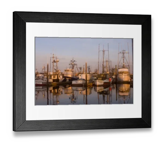Framed Print : USA, Washington, Westport Harbor Framed Print : USA, Washington, Westport Harbor