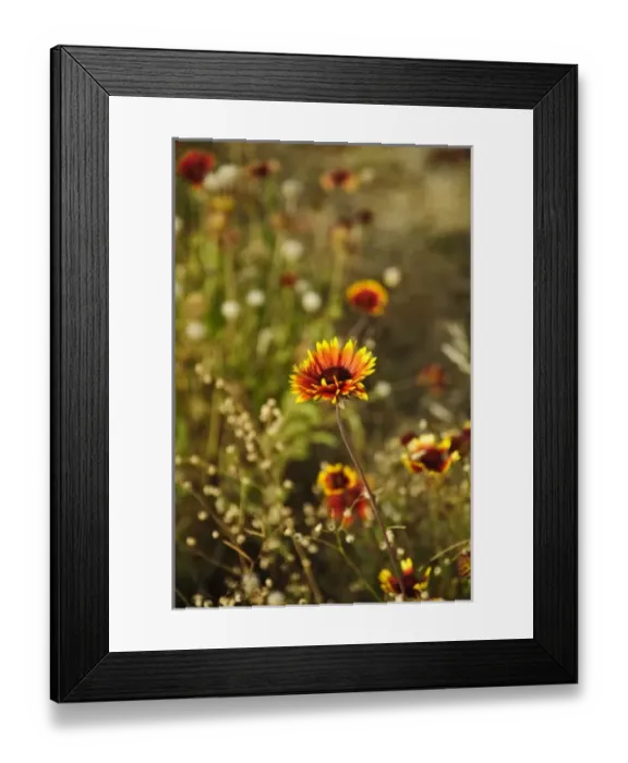 Framed Print : USA, North America, Washington Framed Print : USA, North America, Washington