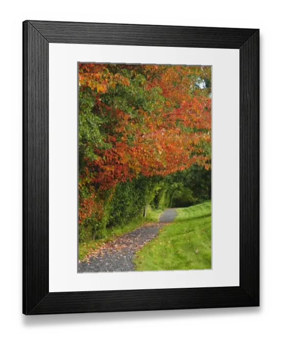 Framed Print : USA, Washington Framed Print : USA, Washington