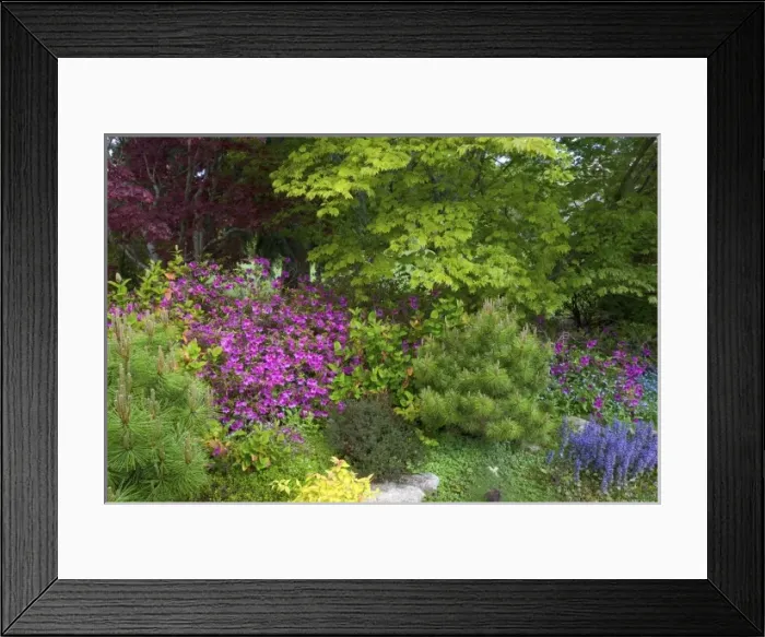 Framed Print : USA, North America, Washington Framed Print : USA, North America, Washington