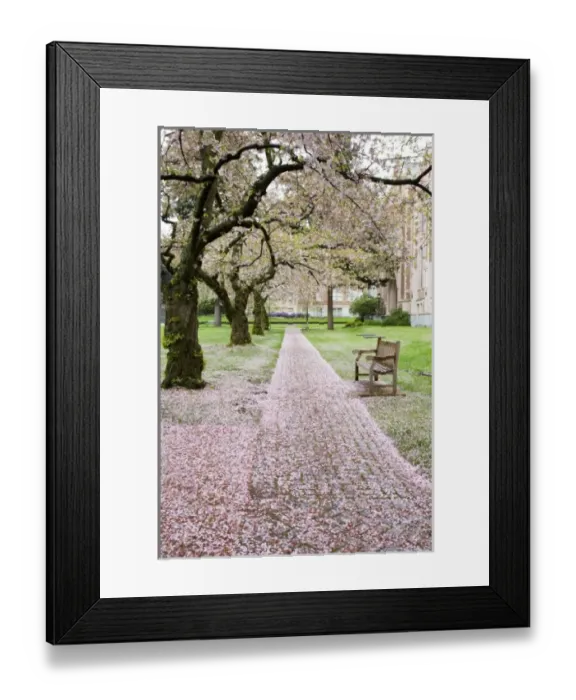 Framed Print : USA, North America, Washington