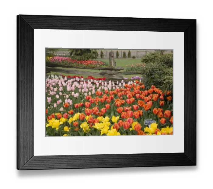 Framed Print : USA, North America, Washington Framed Print : USA, North America, Washington