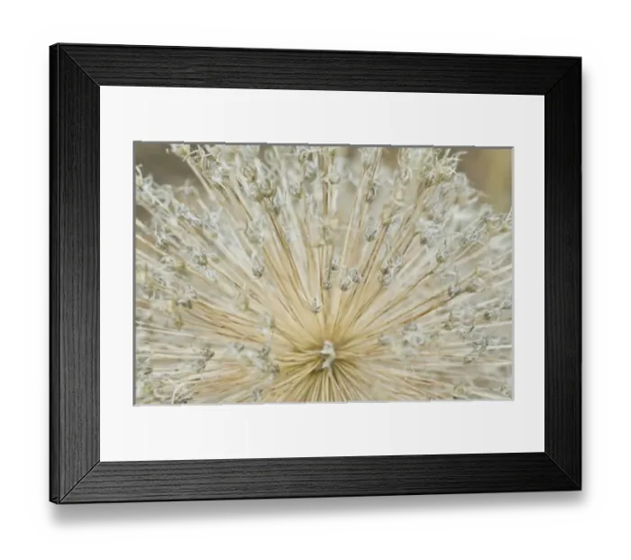 Framed Print : USA, North America, Washington Framed Print : USA, North America, Washington