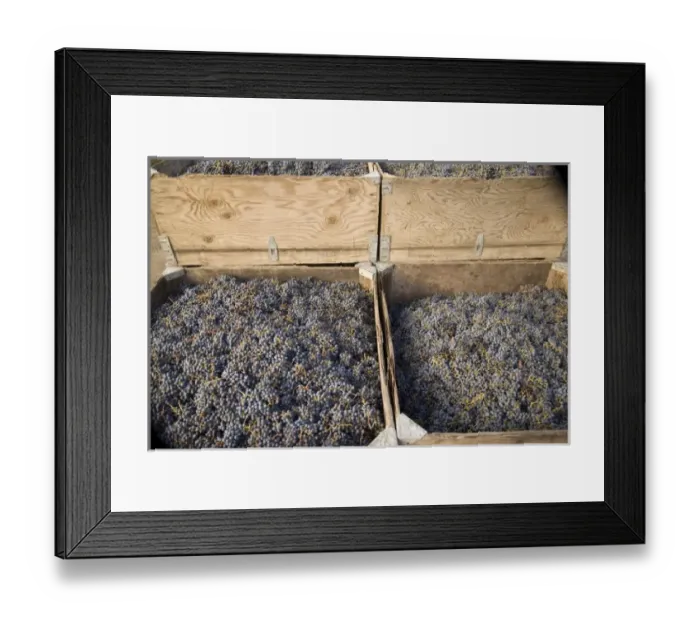 Framed Print : USA, North America, Washington Framed Print : USA, North America, Washington