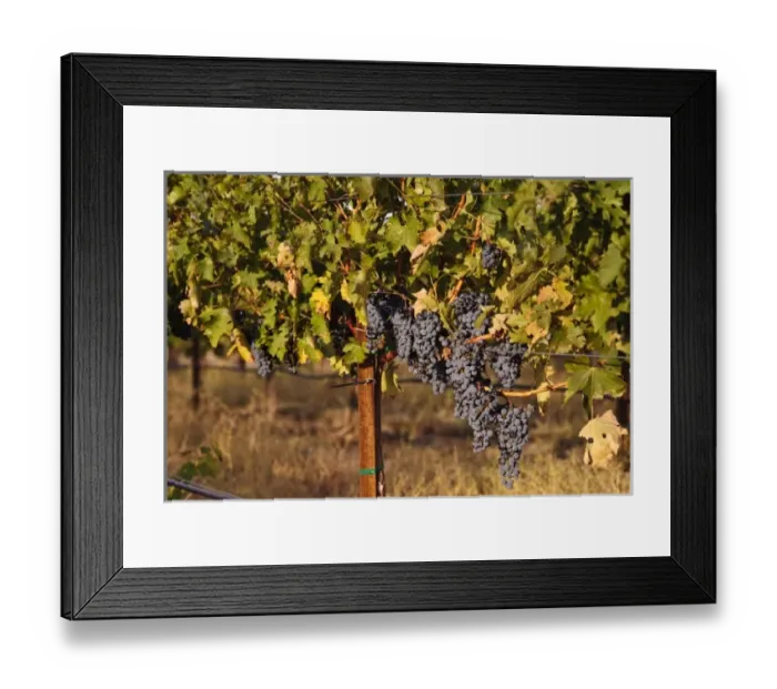 Framed Print : USA, North America, Washington Framed Print : USA, North America, Washington