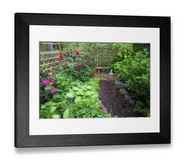 Framed Print : Garden designs and pathway in shade garden - in our Garden Sammamish, Washington Framed Print : Garden designs and pathway in shade garden - in our Garden Sammamish, Washington