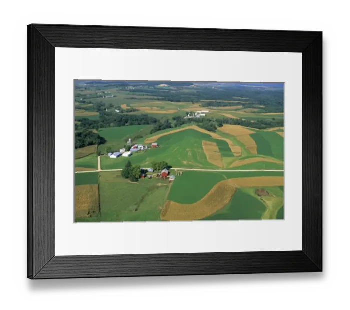Framed Print : Aerial view of contour strip farming corn and alfalfa hay in Southwest Wisconsin Framed Print : Aerial view of contour strip farming corn and alfalfa hay in Southwest Wisconsin