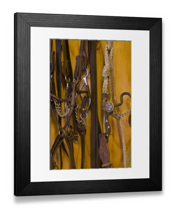 Framed Print : North America, USA, West. Riding gear for a horse, detail Framed Print : North America, USA, West. Riding gear for a horse, detail