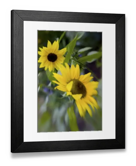 Framed Print : USA, North America, Washington