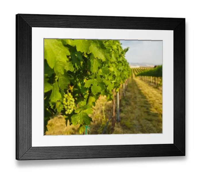 Framed Print : USA, North America, Washington Framed Print : USA, North America, Washington