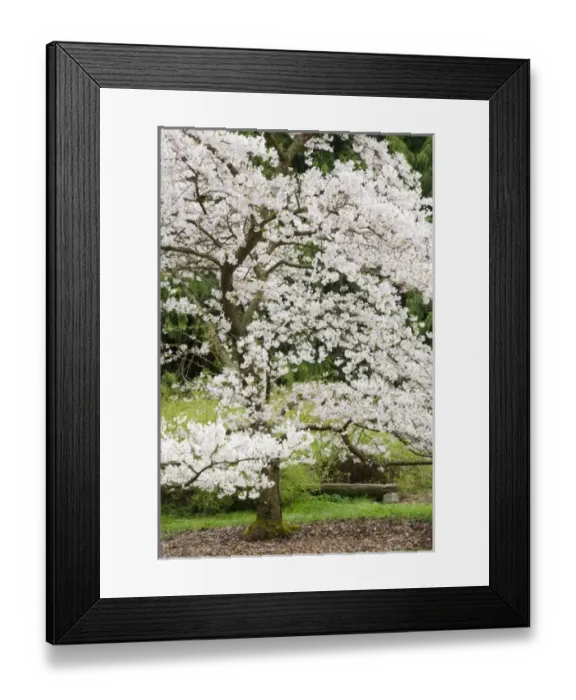 Framed Print : USA, North America, Washington Framed Print : USA, North America, Washington