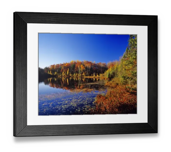 Framed Print : Small pond reflects autumn colors in the Chequamegon- Nicolet National forest in