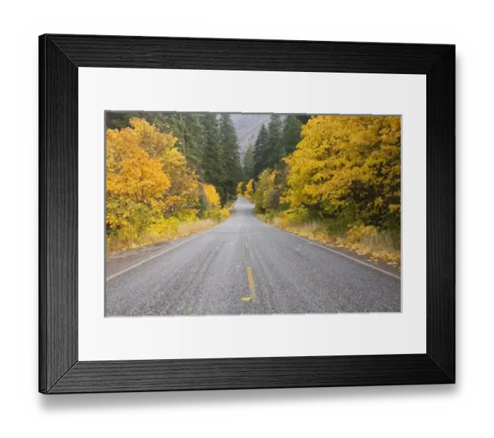 Framed Print : USA, North America, Washington