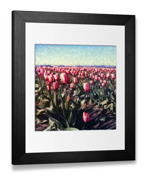 Framed Print : USA, Washington, Skagit Valley. Pink tulip field. Polaroid SX70 Manipulation Framed Print : USA, Washington, Skagit Valley. Pink tulip field. Polaroid SX70 Manipulation