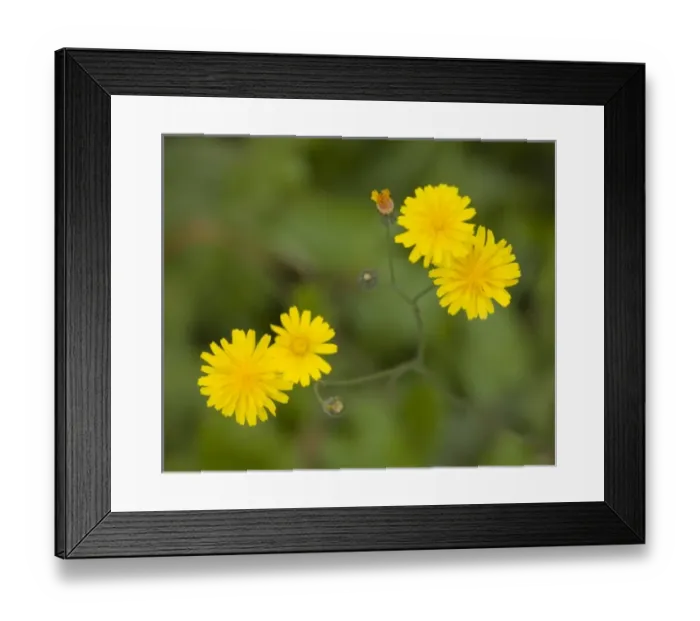 Framed Print : USA, North America, Washington