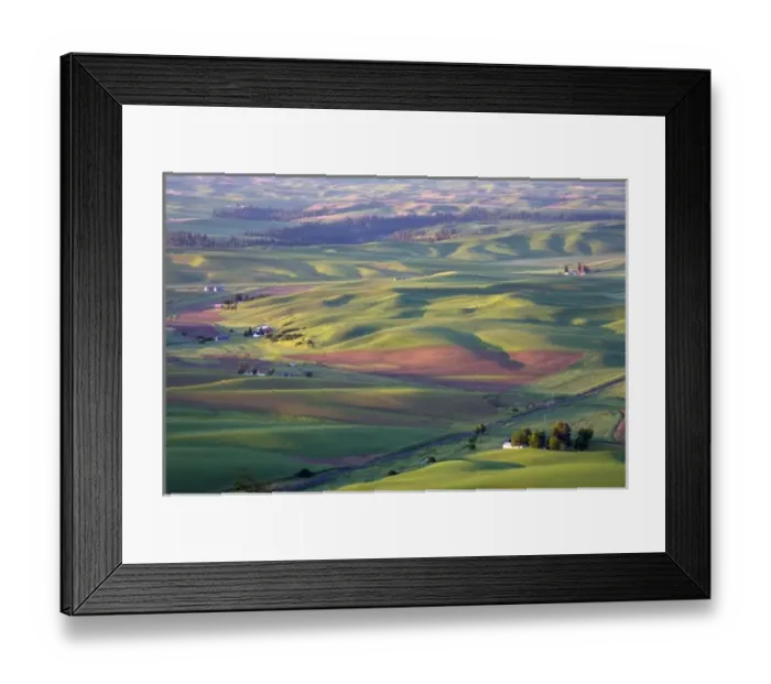 Framed Print : USA, Washington, Whitman County, Palouse Farmland, view from Steptoe Butte Framed Print : USA, Washington, Whitman County, Palouse Farmland, view from Steptoe Butte