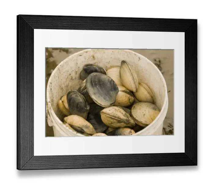 Framed Print : USA, North America, Washington