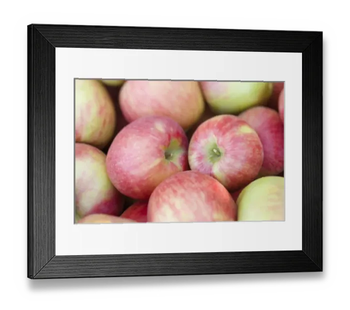 Framed Print : NA; USA; Washington; Lake Chelan; Honeycrisp apples (selective focus)